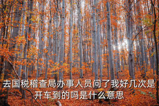 國稅說需要運維是什么意思，什么條件需要辦理國稅我是一個月收入2千左右的維修小檔口也要輸