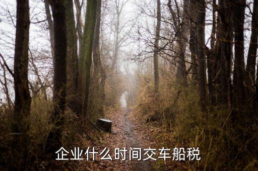 什么時候申報車船稅，車船稅應當在什么時候申報繳納 承德