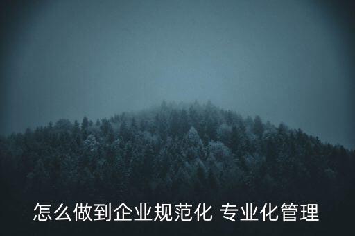 專業(yè)化公司如何管理，專業(yè)化企業(yè)的建議