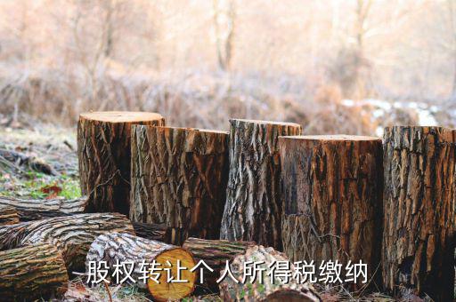 股權轉讓如何繳納個稅，個人股權轉讓如何納稅