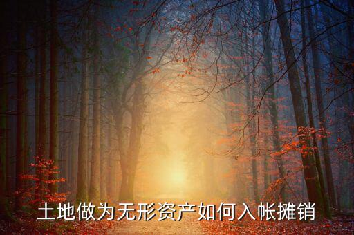 土地如何攤銷，土地做為無(wú)形資產(chǎn)如何入帳攤銷