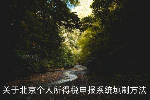 關于北京個人所得稅申報系統(tǒng)填制方法