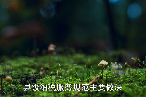 如何納稅的便民措施，如何提高納稅人滿意度 中國稅務報