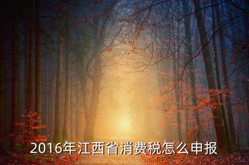 江西什么時(shí)候國地聯(lián)合辦稅，請問國地稅什么時(shí)候合并