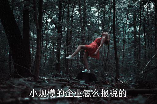小規(guī)模納稅人如何申報，小規(guī)模增值稅申報流程