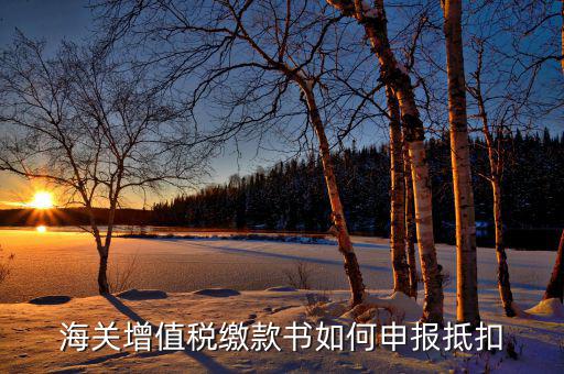 海關(guān)增值稅如何抵扣，海關(guān)增值稅繳款書(shū)如何申報(bào)抵扣