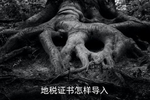 如何導入地稅證書，地稅證書怎樣導入
