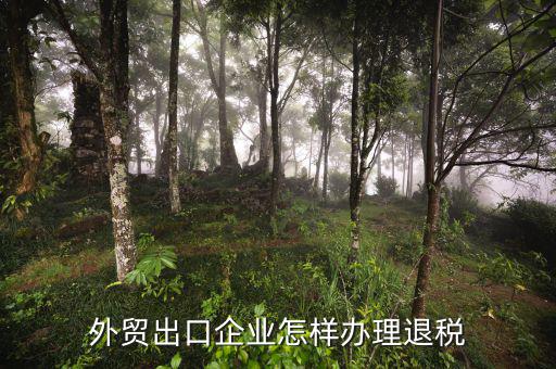 外貿(mào)公司如何退稅，外貿(mào)公司出口產(chǎn)品時(shí)怎么操作才可以退稅
