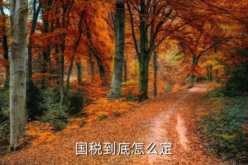 國稅如何定稅，國稅是怎樣定額