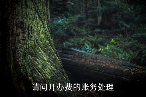 開辦費(fèi)如何處理，請問開辦費(fèi)的賬務(wù)處理