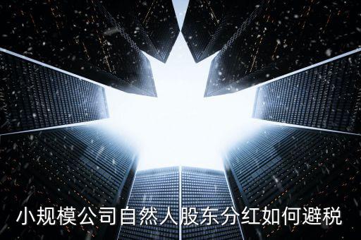 個人股東分紅如何避稅，小規(guī)模公司自然人股東分紅如何避稅