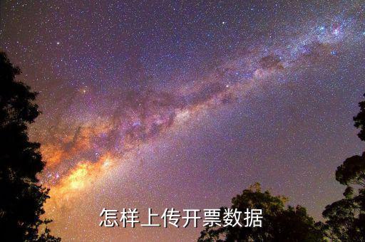 如何上傳進(jìn)項(xiàng)發(fā)票明細(xì)，怎樣上傳開票數(shù)據(jù)