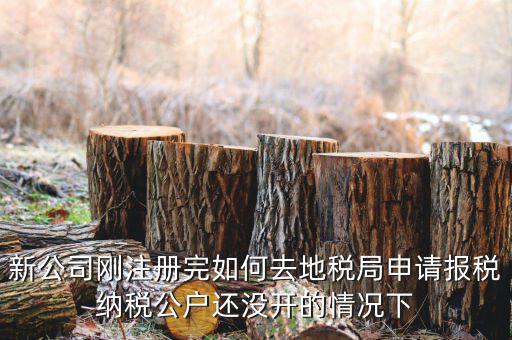 新公司剛注冊(cè)完如何去地稅局申請(qǐng)報(bào)稅納稅公戶還沒(méi)開(kāi)的情況下