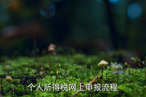 如何網(wǎng)上申請(qǐng)個(gè)稅，個(gè)人所得稅網(wǎng)上申報(bào)流程