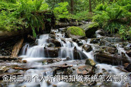 如何刪除個稅軟件，如何刪除個人所得稅報稅軟件中的納稅人信息