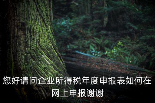 您好請(qǐng)問企業(yè)所得稅年度申報(bào)表如何在網(wǎng)上申報(bào)謝謝