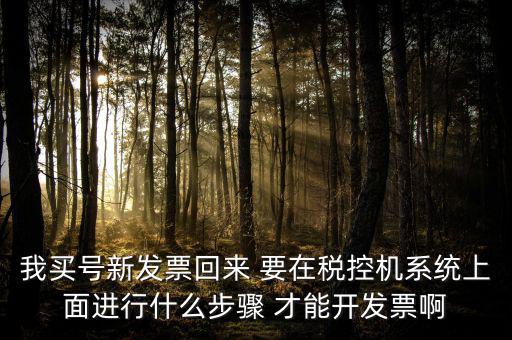 稅控系統(tǒng)如何開票，我買號(hào)新發(fā)票回來 要在稅控機(jī)系統(tǒng)上面進(jìn)行什么步驟 才能開發(fā)票啊