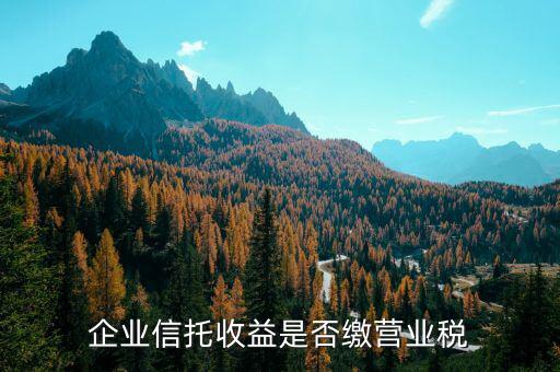 2009年信托公司如何繳納營業(yè)稅，營業(yè)稅怎么交