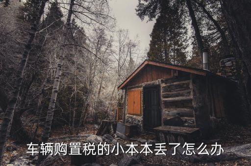 購置稅本丟失如何補辦，車輛購置稅完稅證明本丟了怎么補辦