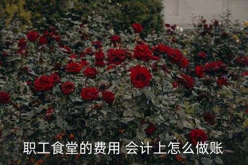 公司食堂費(fèi)用如何入賬，職工食堂費(fèi)用如何入賬