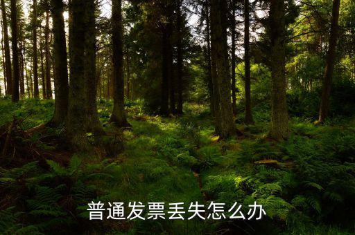 普票發(fā)票聯(lián)丟失如何入賬，企業(yè)開具的增值稅普通發(fā)票記賬聯(lián)丟失怎么處理