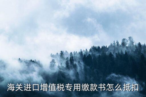 海關(guān)進(jìn)口增值稅專用繳款書(shū)怎么抵扣