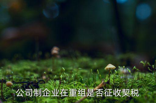 企業(yè)改制契稅減免如何辦理，公司制企業(yè)在重組是否征收契稅