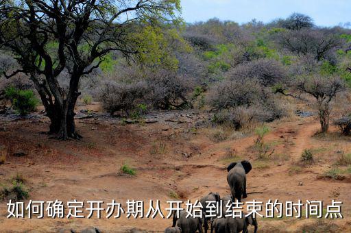 如何確定開(kāi)辦期從開(kāi)始到結(jié)束的時(shí)間點(diǎn)