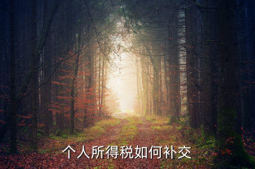 個(gè)稅如何補(bǔ)繳，個(gè)人所得稅如何補(bǔ)交