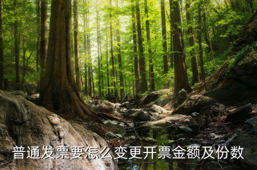 如何申請(qǐng)發(fā)票額度變更，普通發(fā)票要怎么變更開票金額及份數(shù)