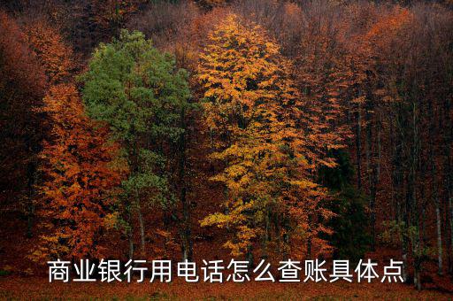商業(yè)銀行用電話(huà)怎么查賬具體點(diǎn)