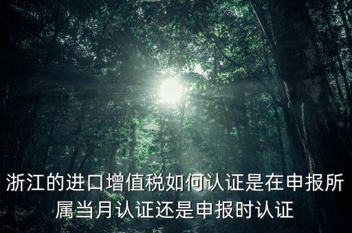 浙江國稅進(jìn)口發(fā)票如何認(rèn)證，浙江的進(jìn)口增值稅如何認(rèn)證是在申報(bào)所屬當(dāng)月認(rèn)證還是申報(bào)時(shí)認(rèn)證