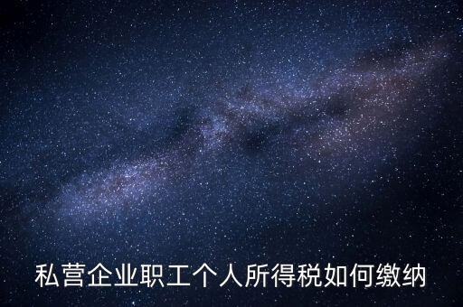 公司如何交個人所得稅，公司給員工發(fā)工資應(yīng)該怎么繳納個稅啊比如