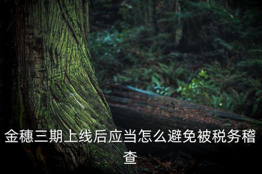 金稅三期如何防稽查，那如何預防稅局的稽查呢