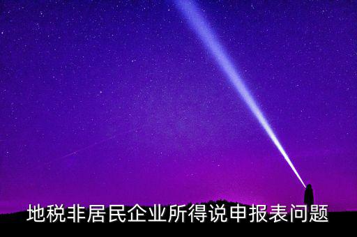 扣繳非居民所得稅報告表指什么，扣繳個人所得稅報告表30