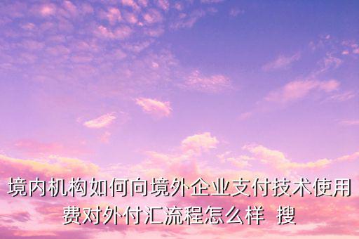 境內機構如何向境外企業(yè)支付技術使用費對外付匯流程怎么樣  搜
