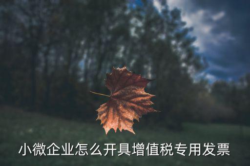 小微企業(yè)怎么開(kāi)具增值稅專用發(fā)票