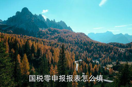 國稅地稅如何零申報表，國稅零申報報表怎么填