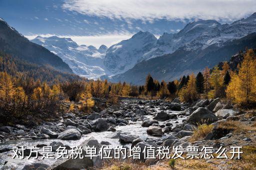 免稅企業(yè)如何開票，免征增值稅稅的發(fā)票怎么開
