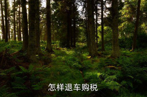 車輛購置稅如何退稅，怎么退車輛購置稅