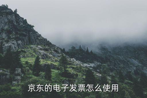 電子發(fā)票如何用，電子客票如何用