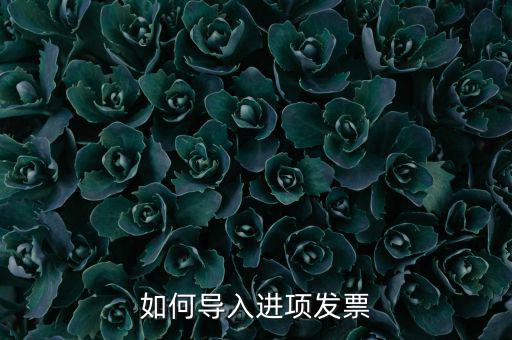 如何導入發(fā)票，如何導入進項發(fā)票