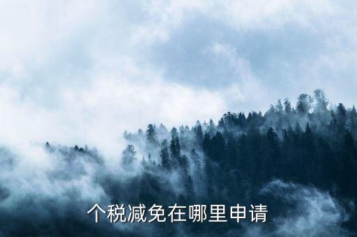 如何申請個稅減免，個稅減免在哪里申請