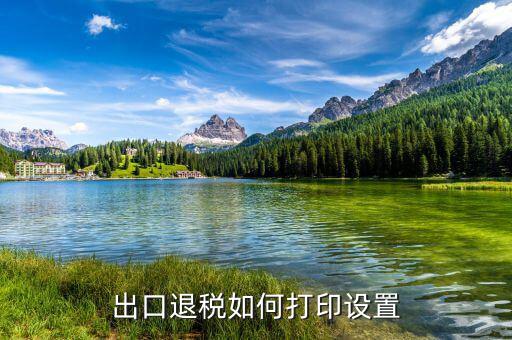 如何打印出口退稅備案表，出口退稅系統(tǒng)內(nèi)的增值稅申報(bào)表如何打印