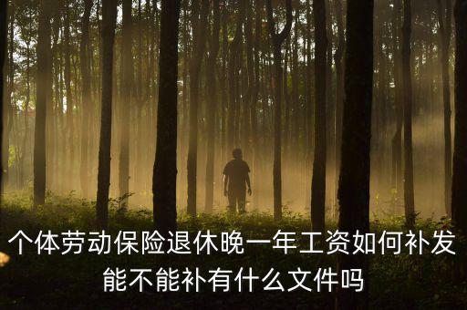 如何補發(fā)工資，個體勞動保險退休晚一年工資如何補發(fā)能不能補有什么文件嗎