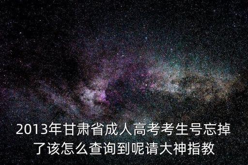甘肅省如何查號，2013年甘肅省成人高考考生號忘掉了該怎么查詢到呢請大神指教