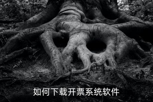 發(fā)票軟件如何下載軟件，怎么安裝稅控發(fā)票開票軟件v20