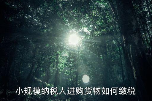 小規(guī)模納稅人如何交稅，小規(guī)模納稅人進(jìn)購(gòu)貨物如何繳稅