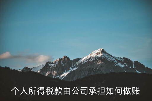 個稅公司承擔(dān) 如何報銷，個人所得稅款由公司承擔(dān)如何做賬