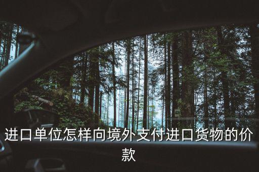 企業(yè)如何境外付款嗎，進(jìn)口單位怎樣向境外支付進(jìn)口貨物的價(jià)款